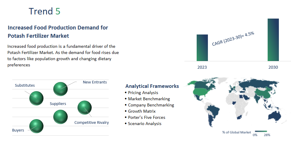 Potash Fertilizer Market report